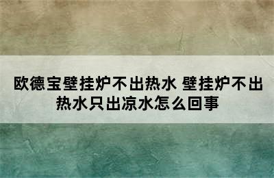 欧德宝壁挂炉不出热水 壁挂炉不出热水只出凉水怎么回事